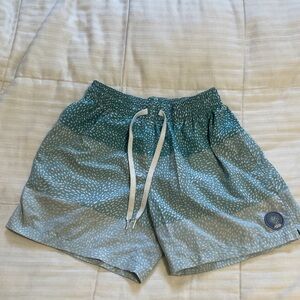 Chubbies Teal and White Patterned Men's Shorts 5.5 inseam